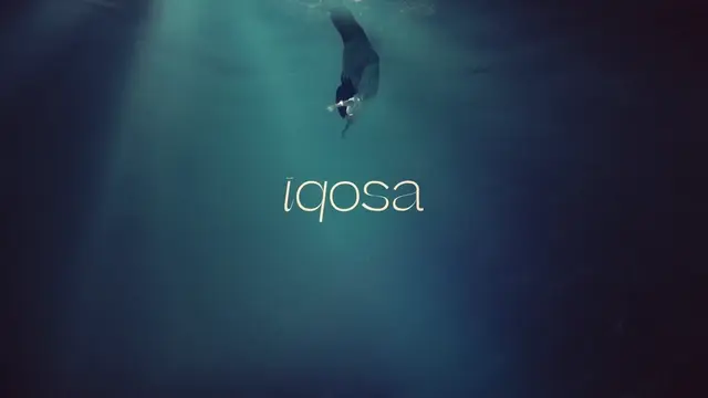 IQOSA / Massimo